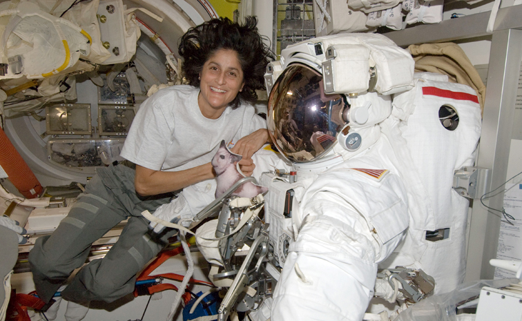 Sunitha_20williams.jpg