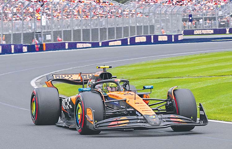 f1.jpg