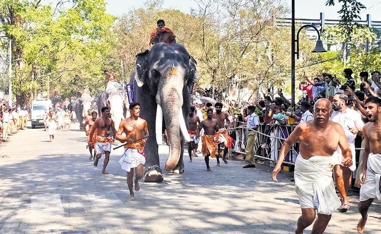 Annual_20Guruvayur_20Temple_2CBalu_20wins.jpg