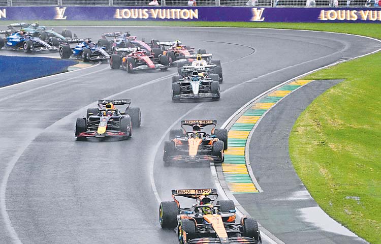f1.jpg