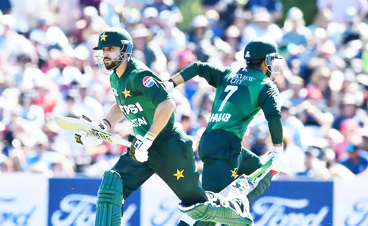 pakvsnz.jpg