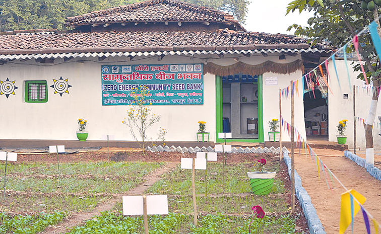 planting-seeds-of-hope-in-i.jpg