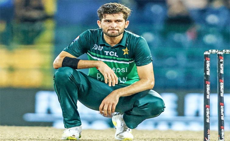 afridi.jpg