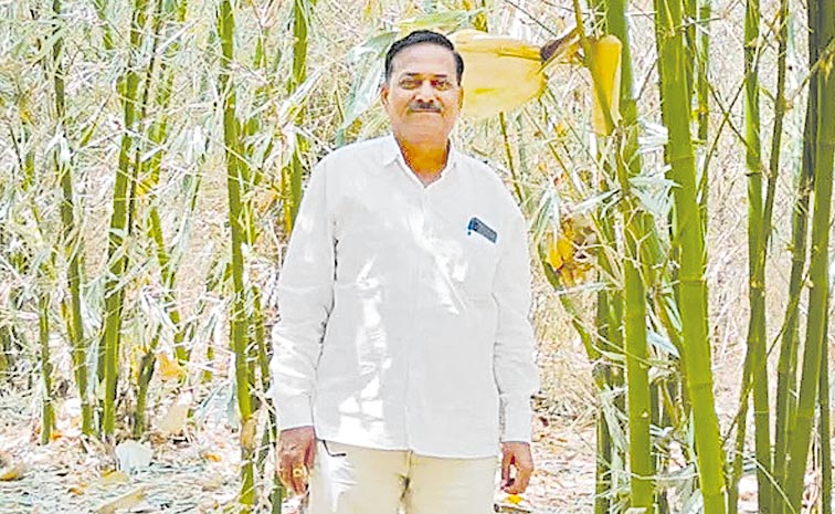 Bamboo-Farmer-Sivaji-Rajput.jpg