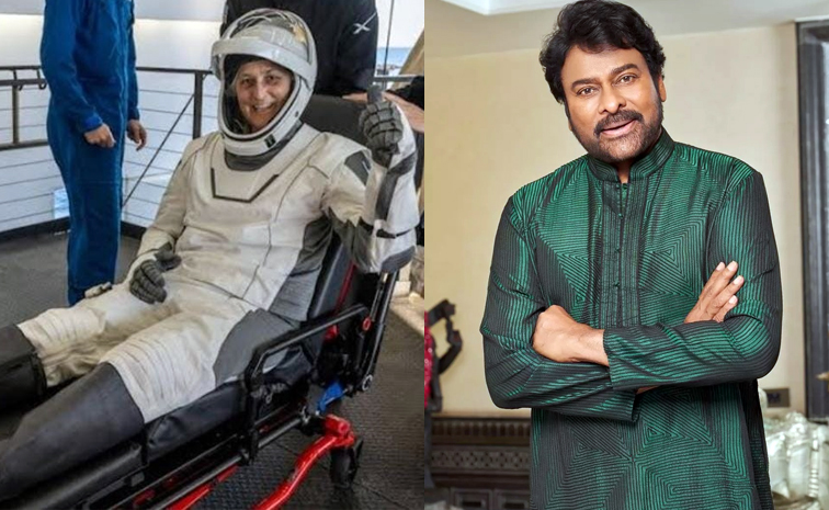 Chiru.jpg