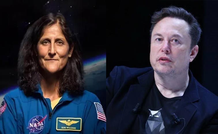 Musk.jpg