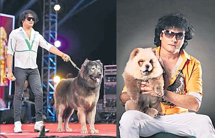 dog.jpg