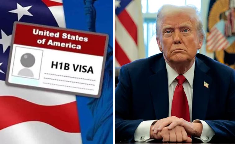 HIB-visa.jpg