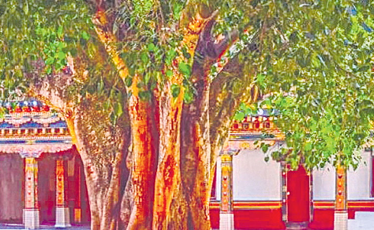 Peepal-Tree-Temple.jpg
