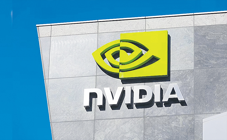 nvides01.jpg