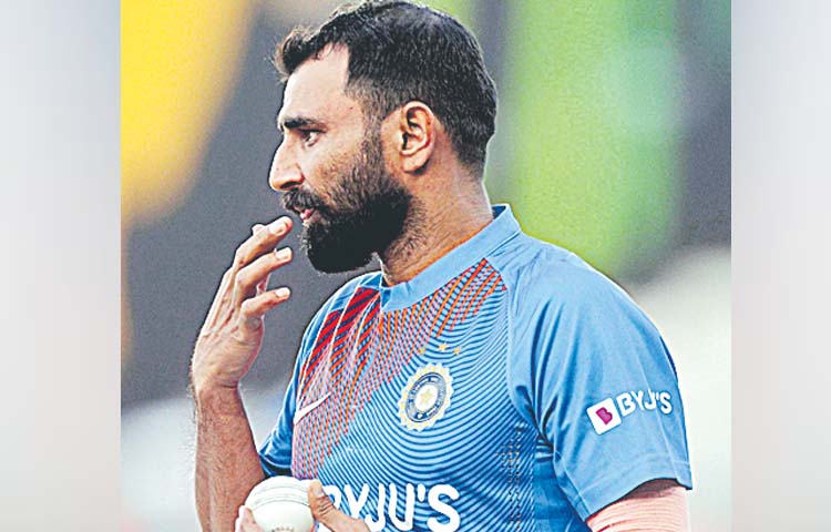 shami.jpg