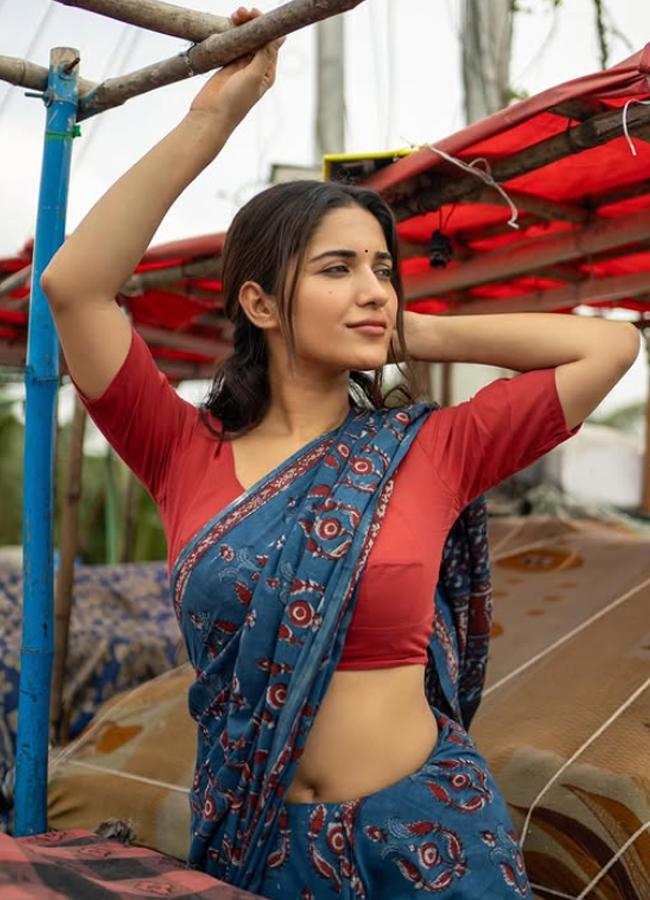 Ruhani_20Sharma_20simple_20and_20classic_20saree_20photos_20_283_29.jpg 3
