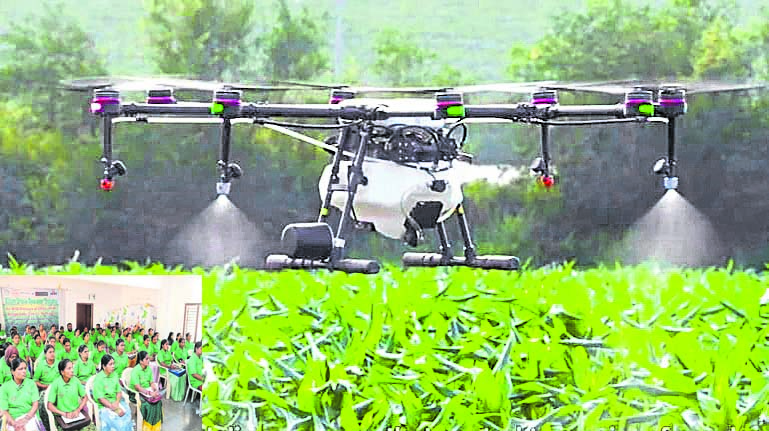 drone22.jpg