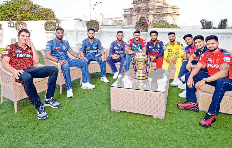 ipl.jpg