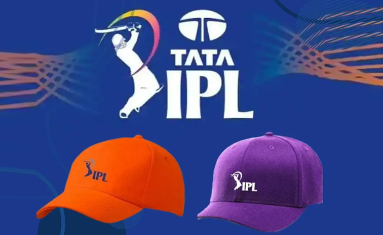 ornagecap_purplecap1.jpg