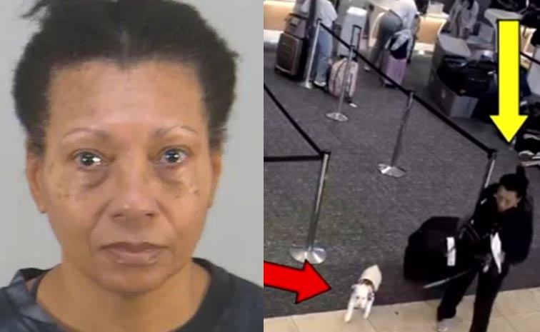 Us-Woman-Drowns-Dog-In-Airp.jpg