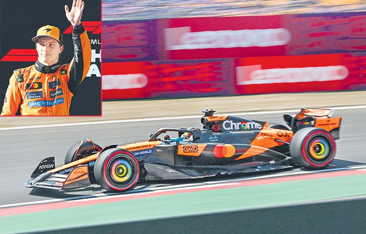 f1.jpg