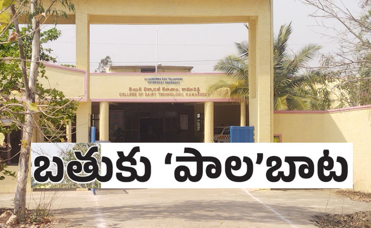 kamareddy-dairy-college-.jpg