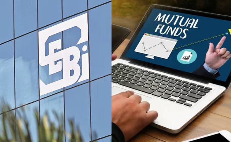 sebi.jpg