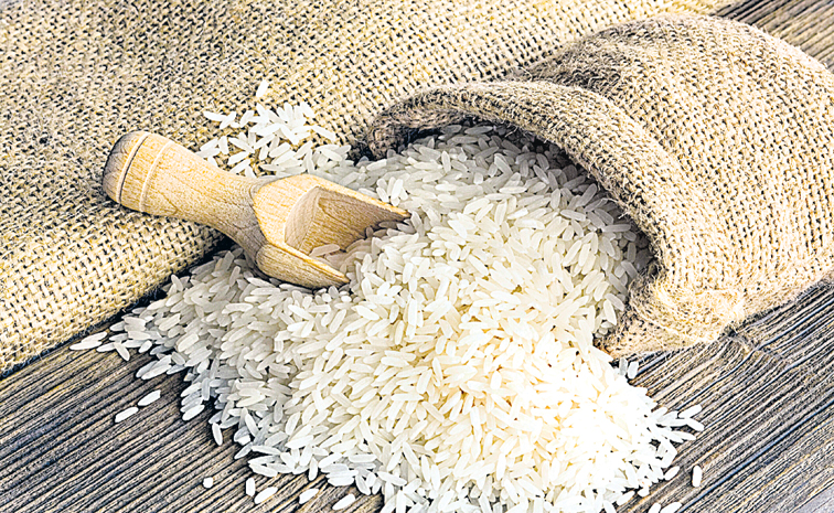RICE3223.jpg