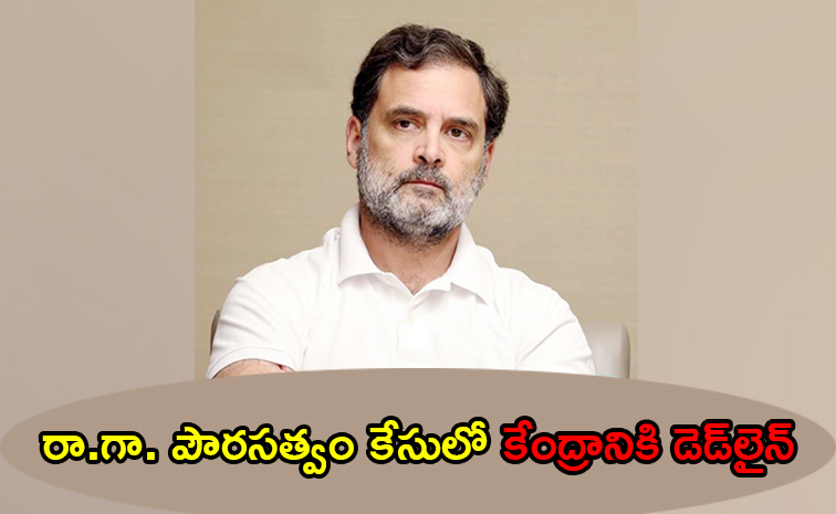 Rahul_20gandhi.jpg