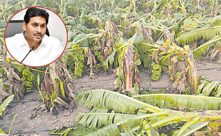 ysjagan.jpg