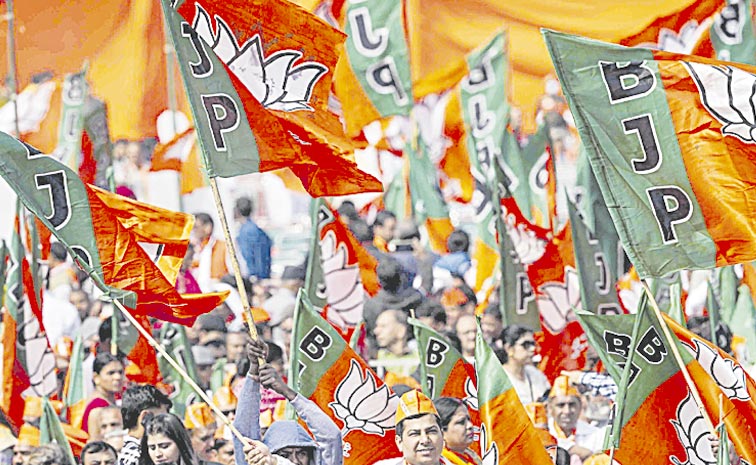 BJP-FLAGS-2.jpg