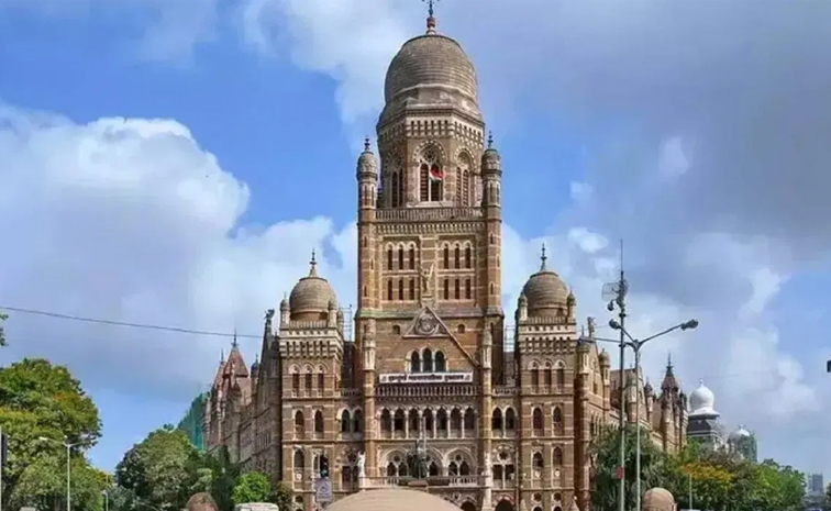 BMC_20elections.jpg