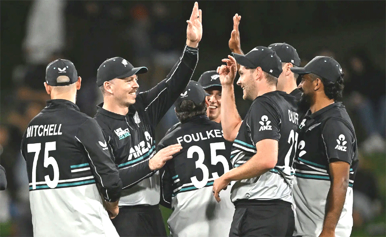 new-zeland.gif