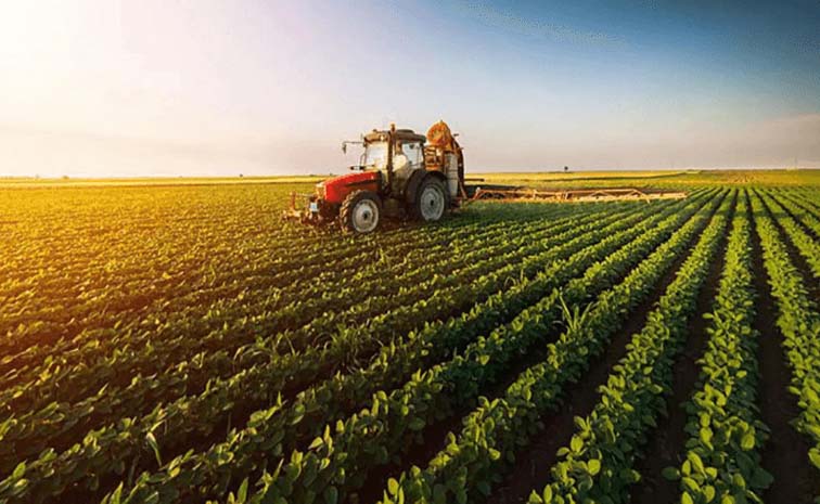 Agri3.jpg