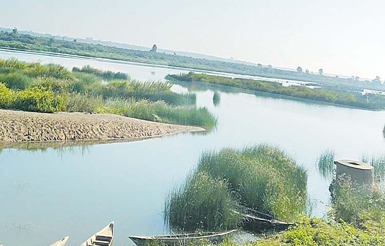 pranahita.jpg