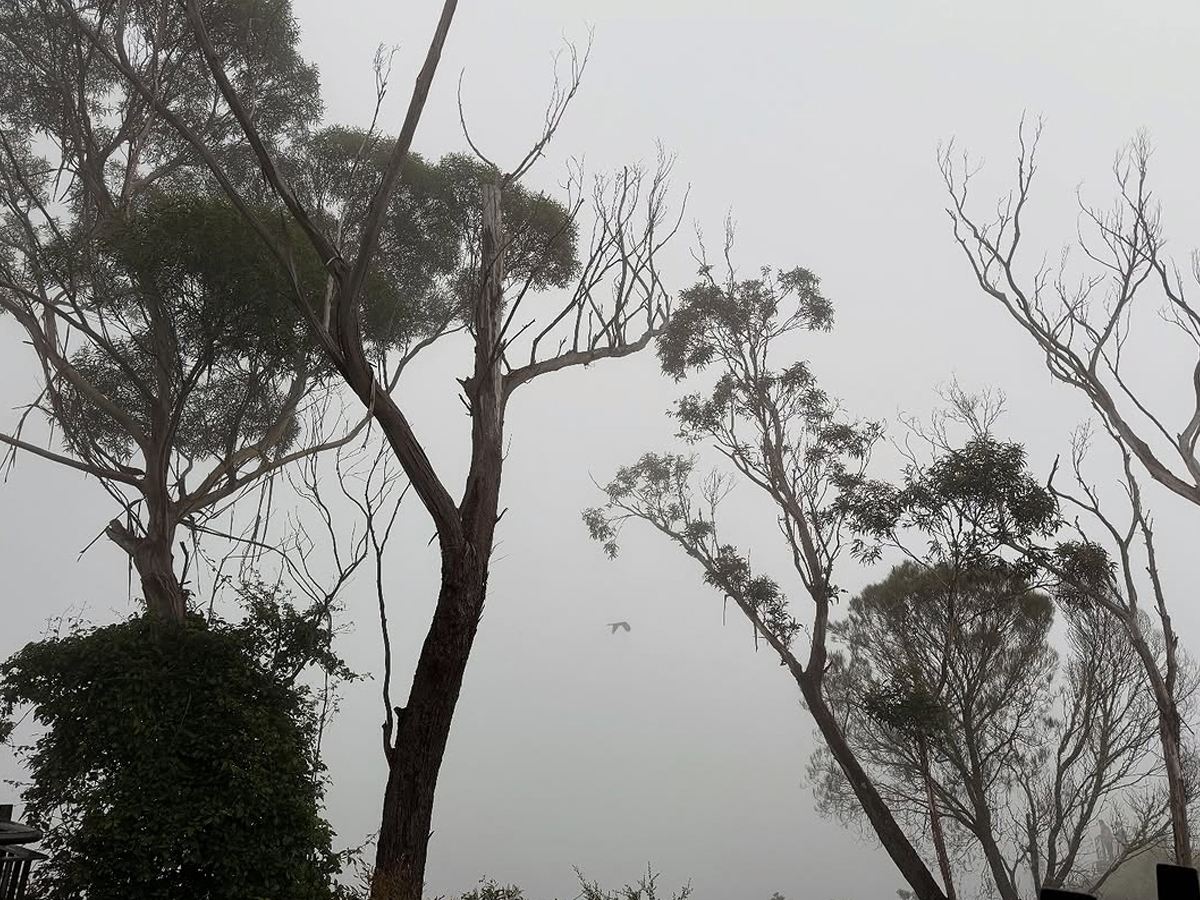 Samantha_20in_20australia7_1.jpg 8