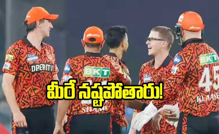 Zampa-Shami.jpg