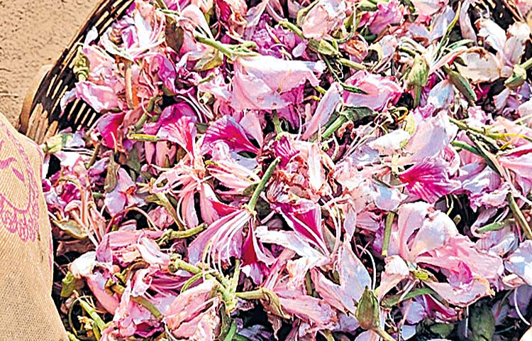 flowers.jpg