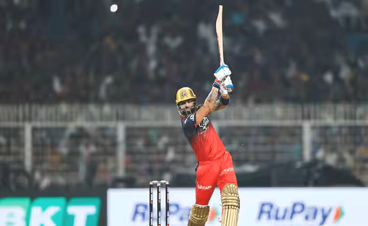 kohli.gif