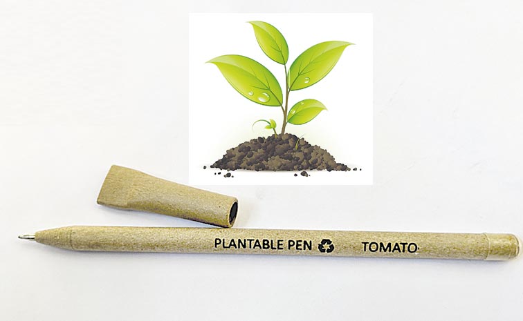 PLANT--.jpg