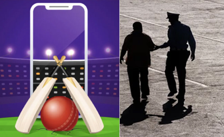 cricketbetting1.jpg