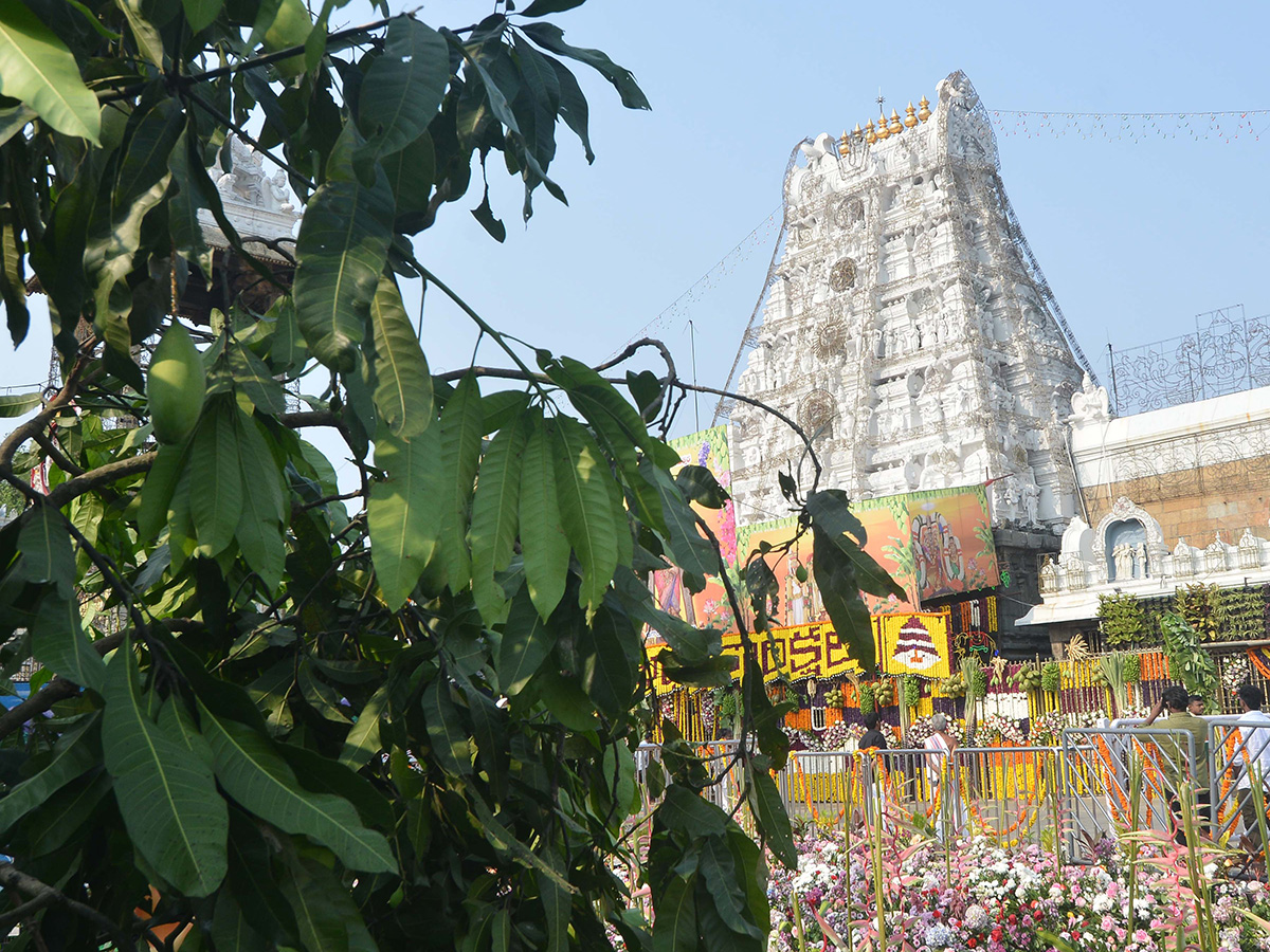 Ugadi_202025_20Celebrations_20in_20Tirumala__20_2812_29.jpg 12