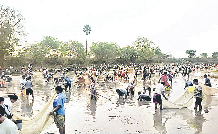 Fishing-Kothagudem.jpg