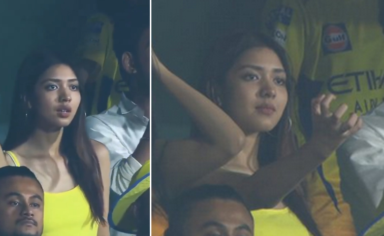 IPLgirl.jpg
