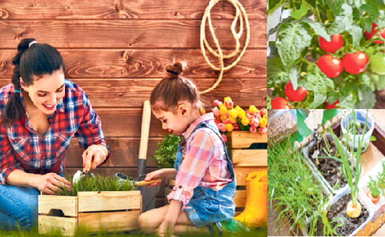 kitchengarden.jpg