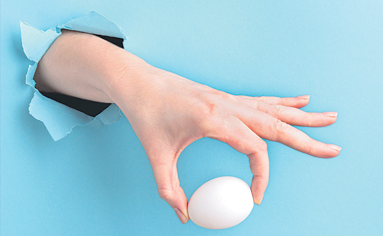 EGG-IN-HAND.jpg