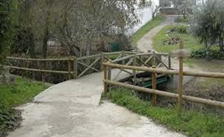 bridge.jpg