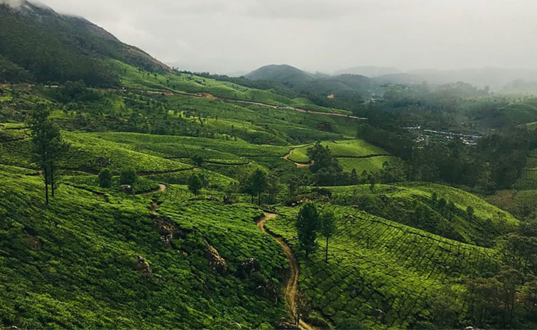 ooty.jpg