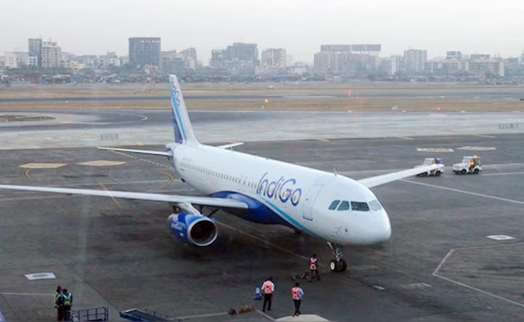 Indigo.jpg
