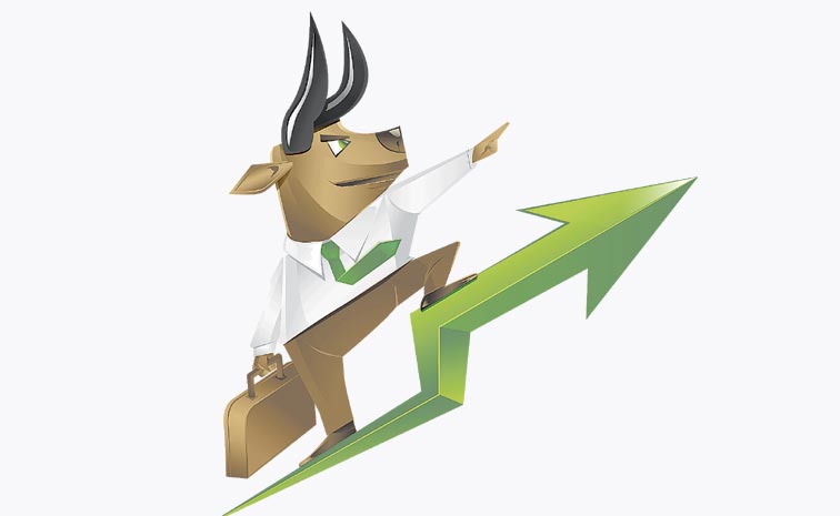 BULL-UP--.jpg