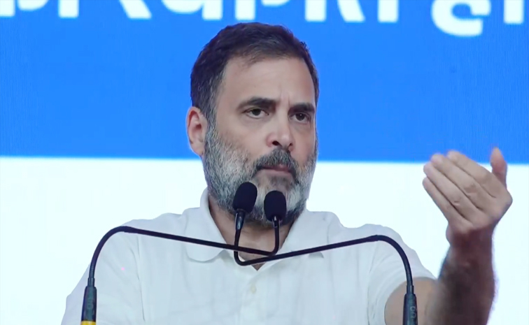 rahul_20gandhi_aicc_20meeting.jpg