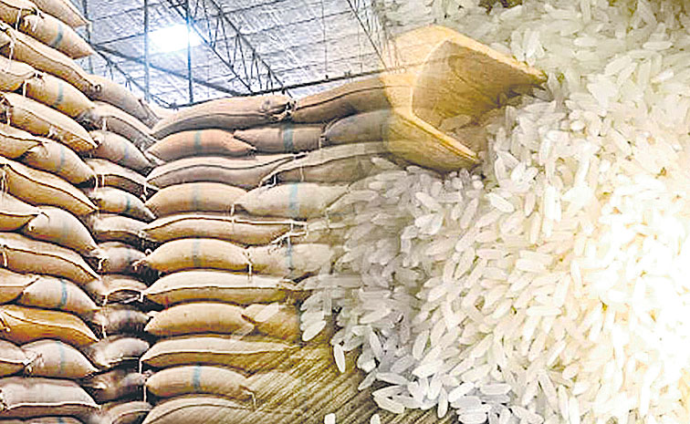 Paddy-Rice.jpg