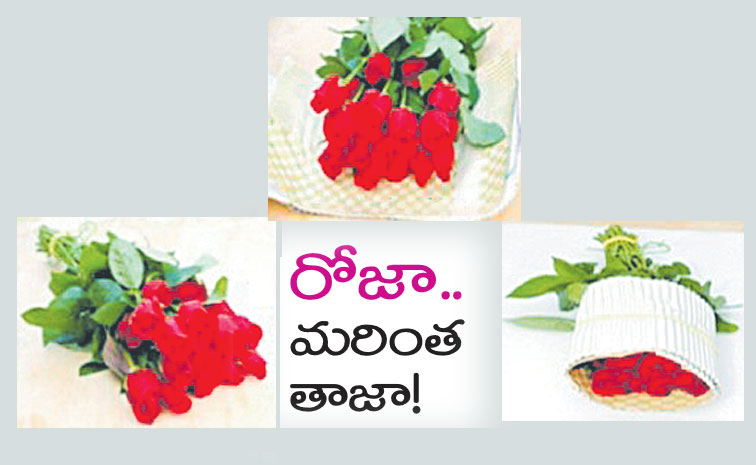 cut-rose-flowers.jpg