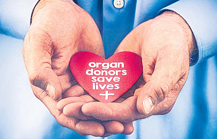 organs.jpg